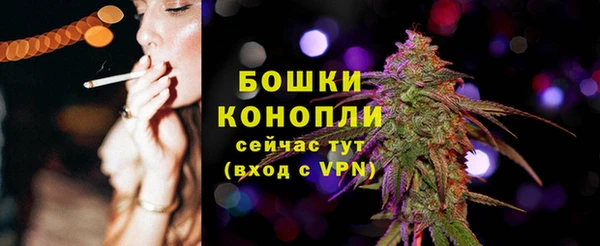 трава Новокубанск