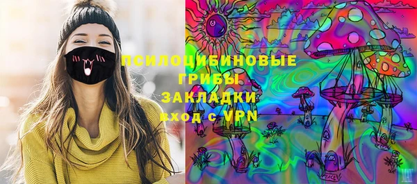 скорость Новозыбков