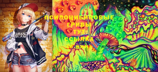 скорость Новозыбков