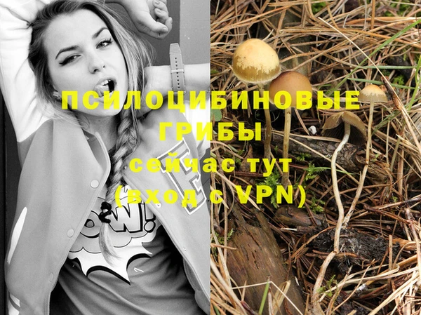 скорость Новозыбков