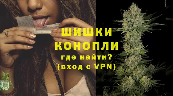 трава Новокубанск