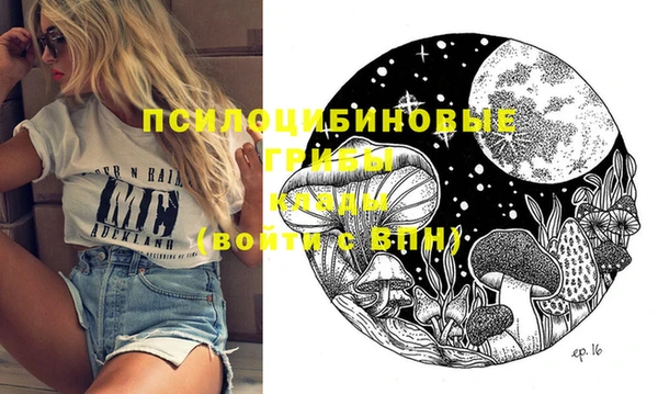 скорость Новозыбков