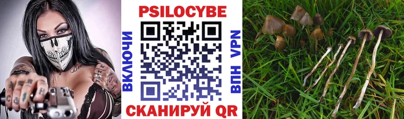 Галлюциногенные грибы мицелий  наркошоп  Назрань 